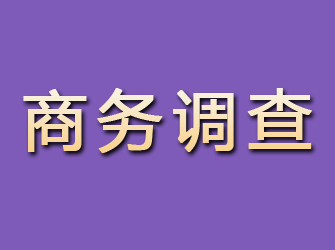 河东商务调查